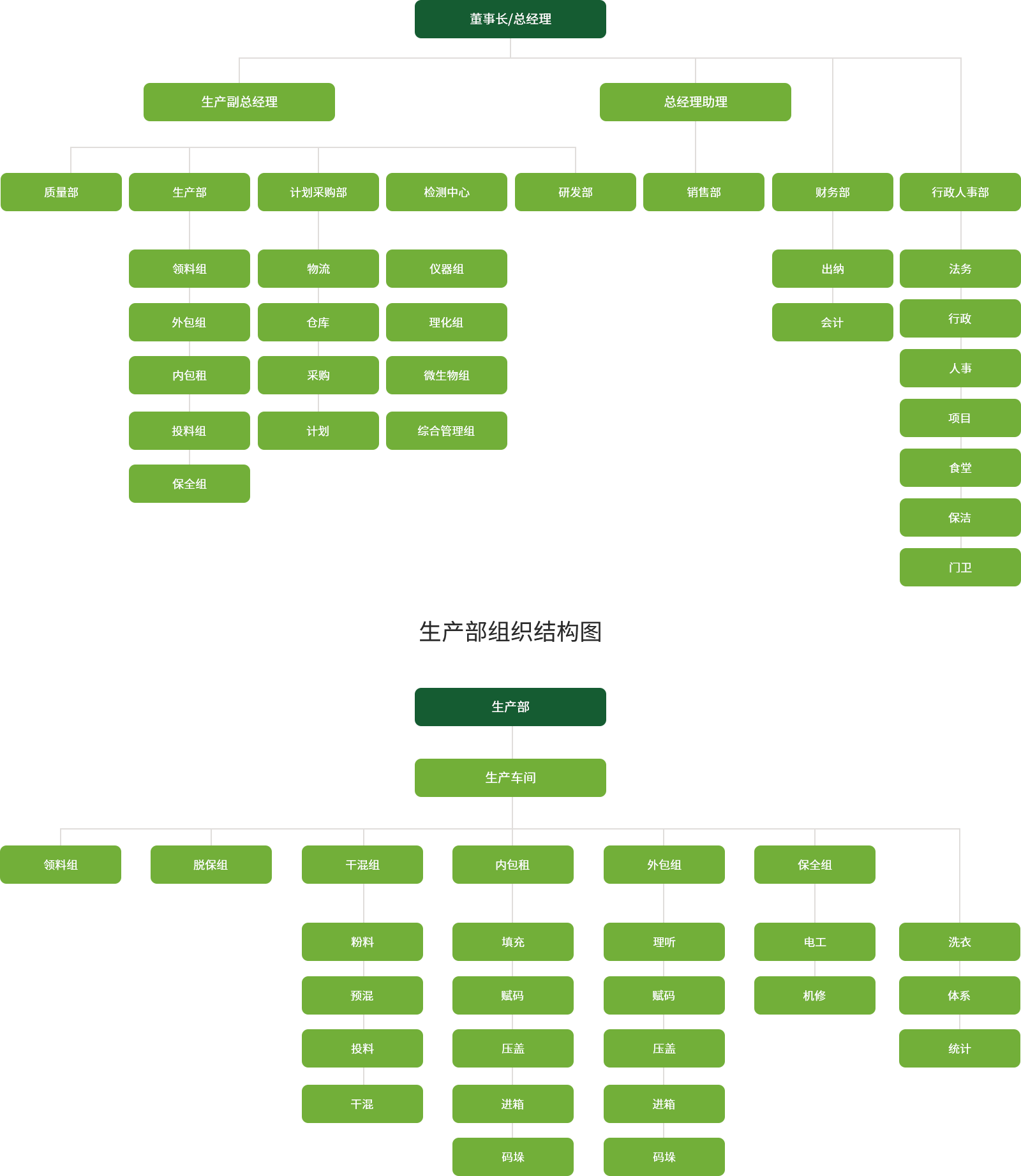 Organization Structure